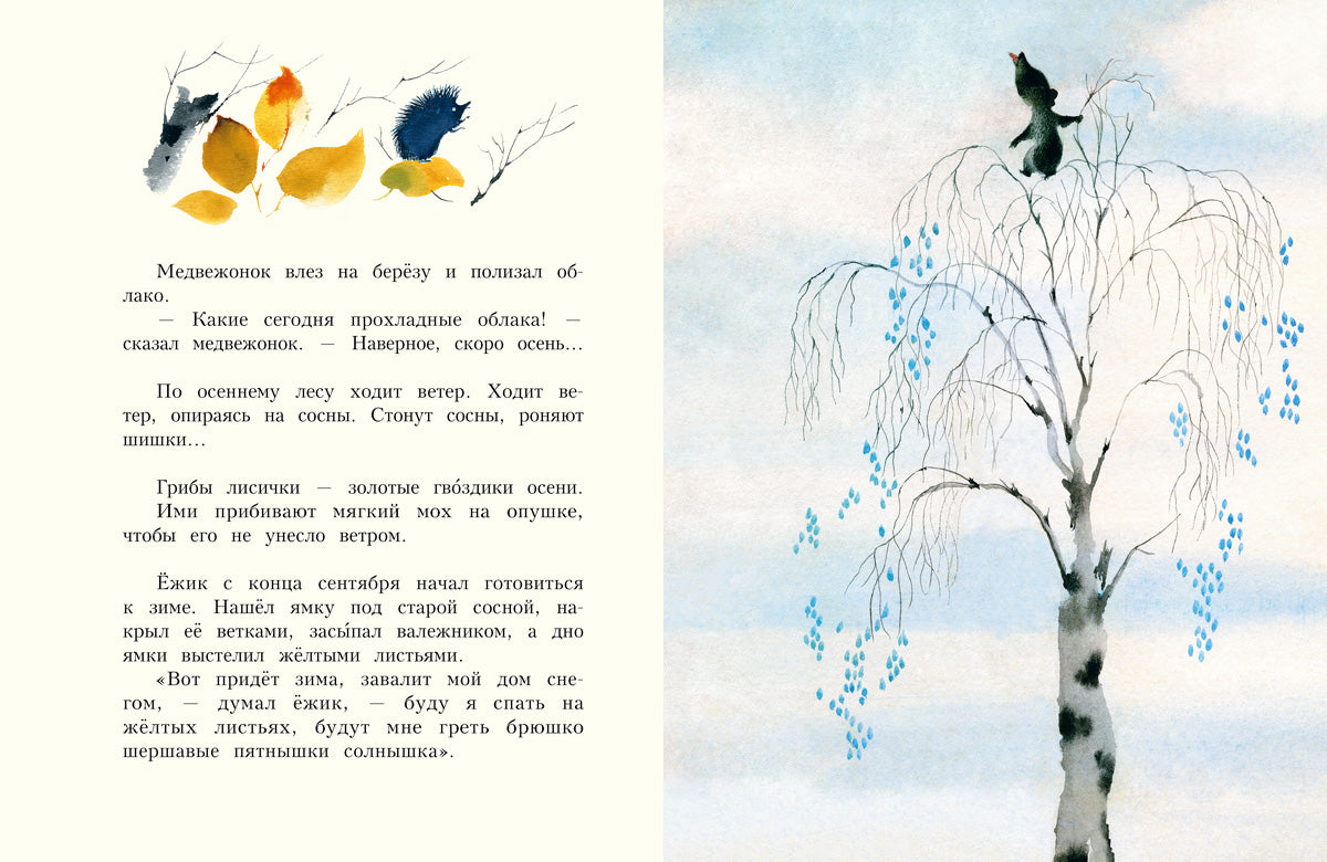 Времена года