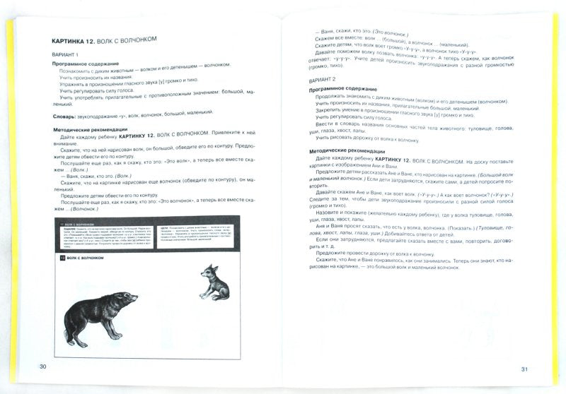 Развит. речи у детей 2-3лет [Методика]