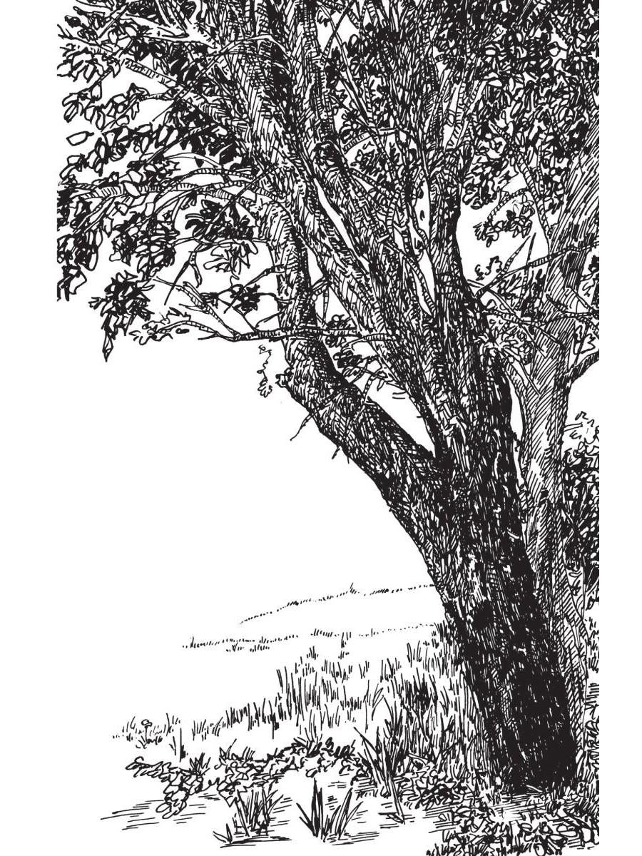 Бабушка, я скоро приеду