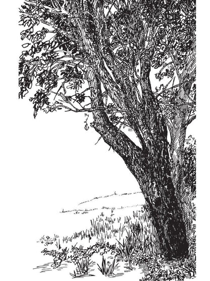 Бабушка, я скоро приеду