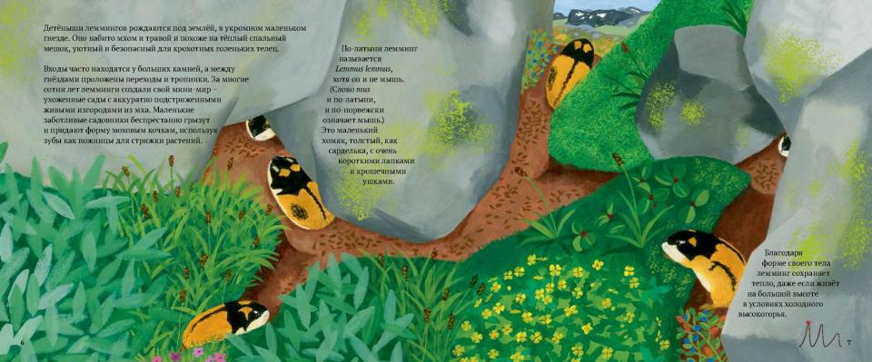 Лемминги – сердце гор