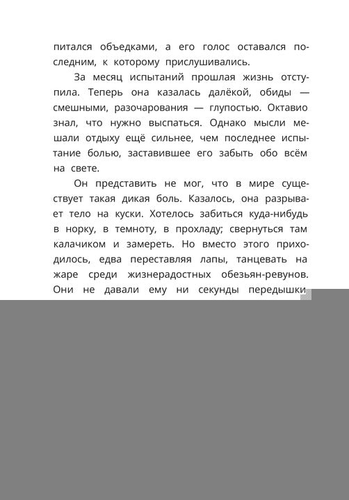 Рип.ДелоВедетМедоед.Тайна тонущего корабля
