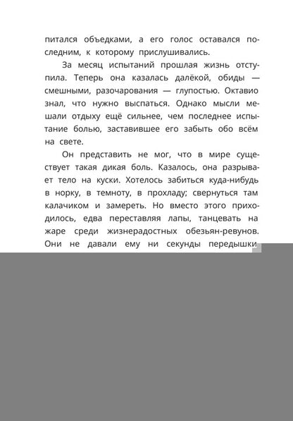 Рип.ДелоВедетМедоед.Тайна тонущего корабля