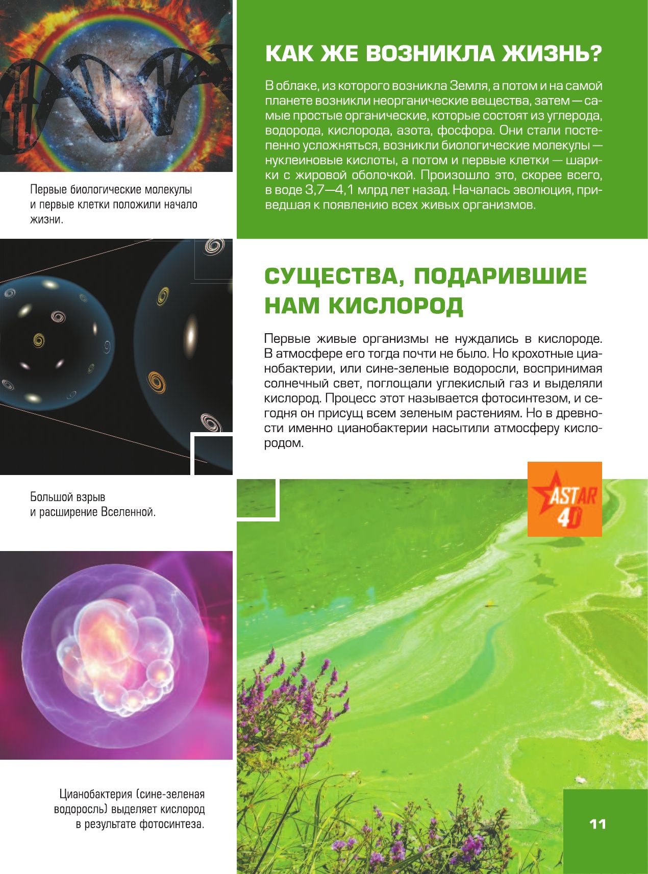 Гигантская детская 4D энциклопедия