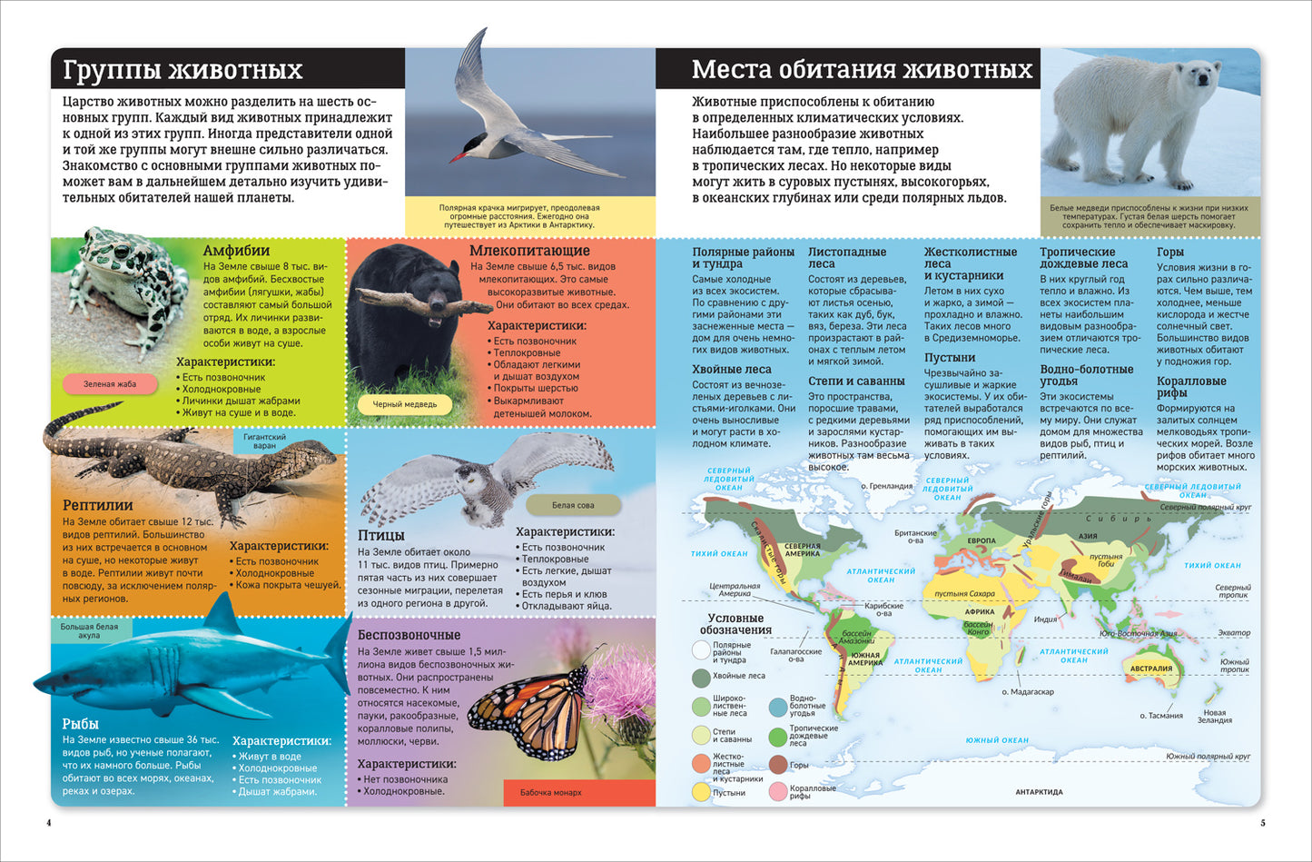 Детский атлас. Животные мира