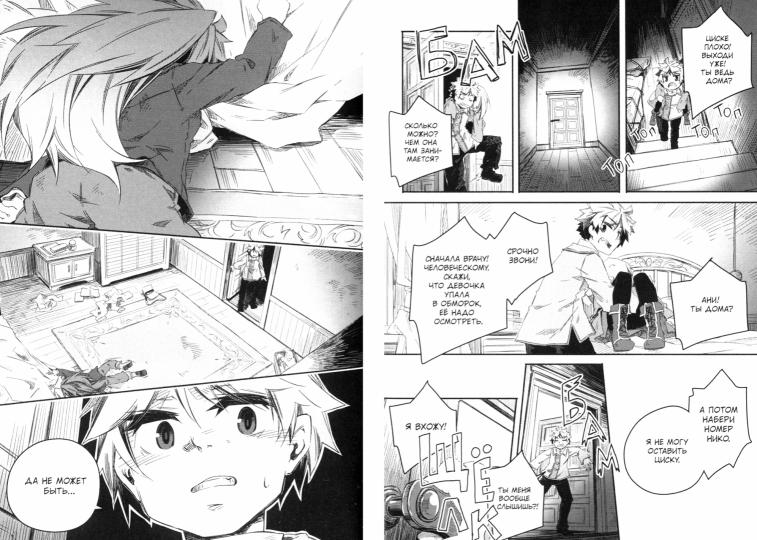 Записки о лечении волшебных зверей. Том 5