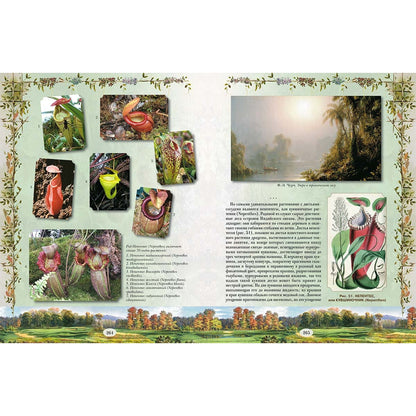Из Зеленого Царства. Популярные очерки из мира растений