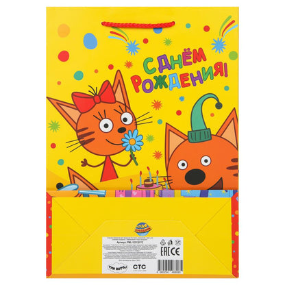 Paquet sous-marin de 10 x 12 pouces