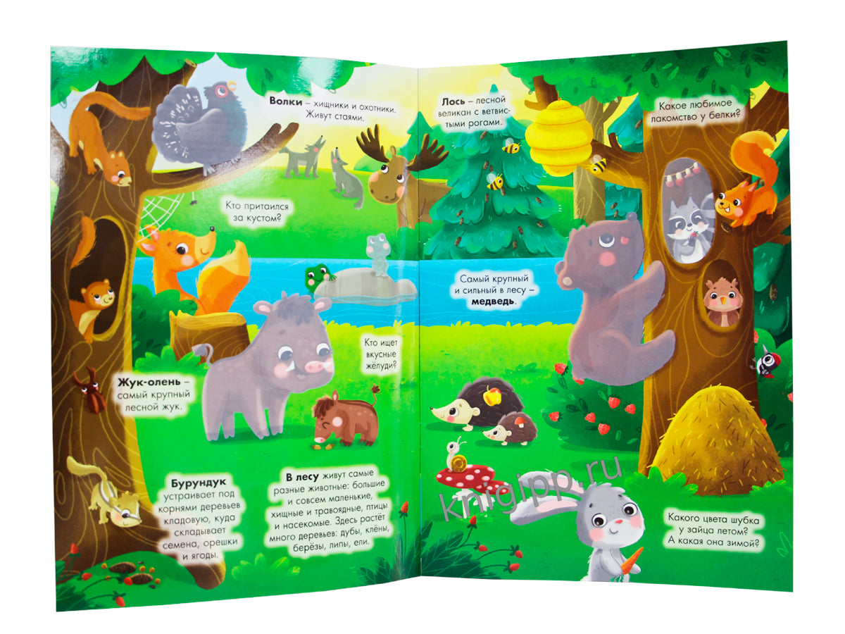 МНОГОРАЗОВАЯ ВОДНАЯ РАСКРАСКА А4. ЖИВОТНЫЕ