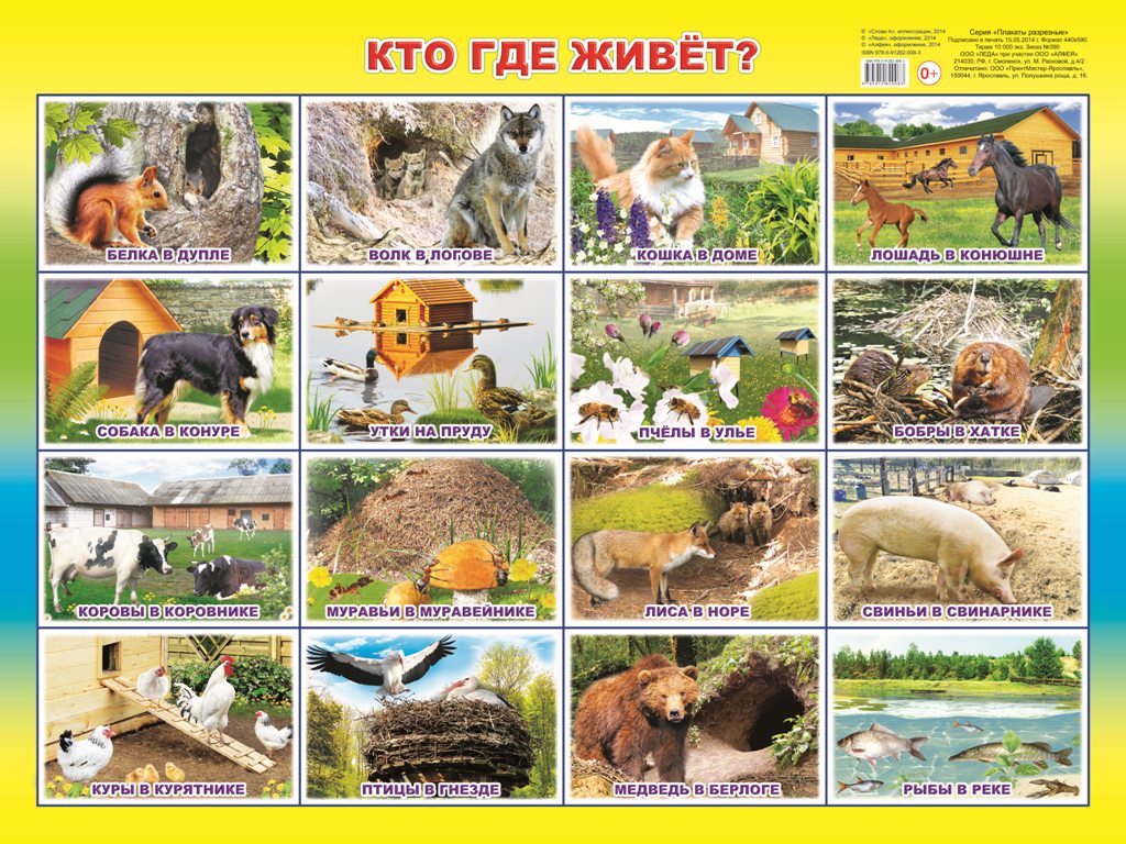 Кн.Карт.Вес.глазки. Потешки.Дождик 0+