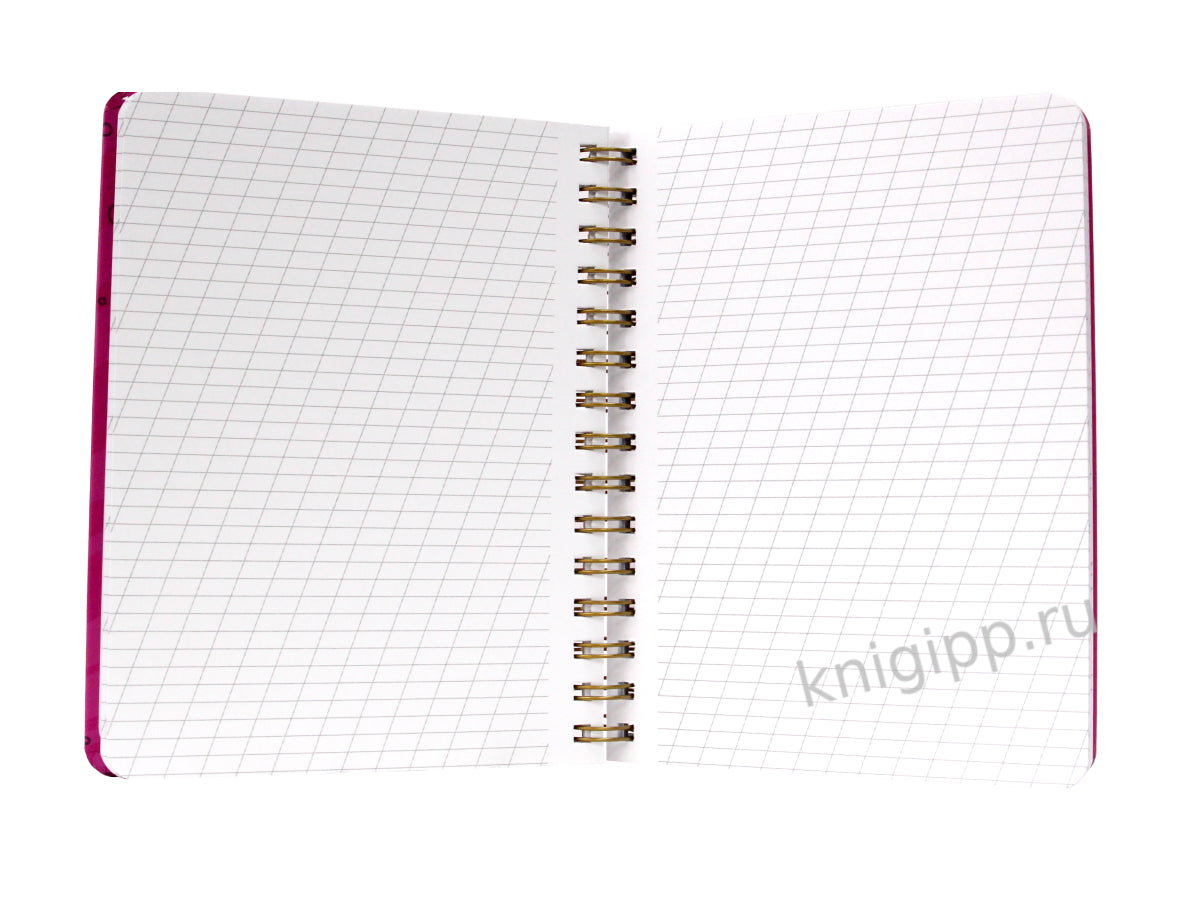 MyArt. СКЕТЧБУК на гребне. БЛОКНОТ ДЛЯ ЛЕТТЕРИНГА И КАЛЛИГРАФИИ