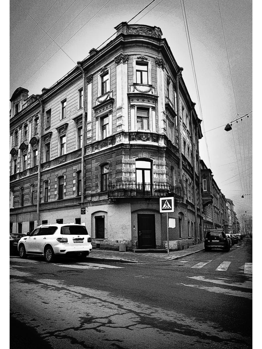 Тургенев в Петербурге