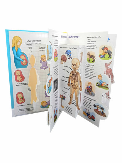 Энциклопедия 3Д СЕКРЕТЫ ЧЕЛОВЕКА твёрдый