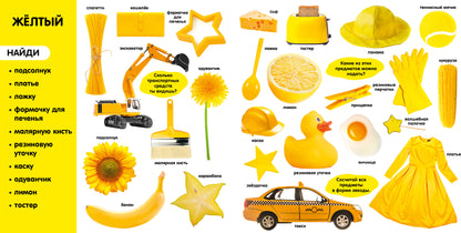 Первые знания. Фотокниги. Фотокнига. Цвета