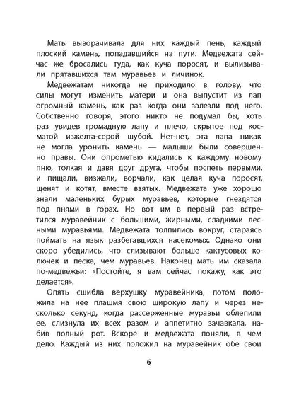 Сетон-Томпсон. Жизнь серого медведя.