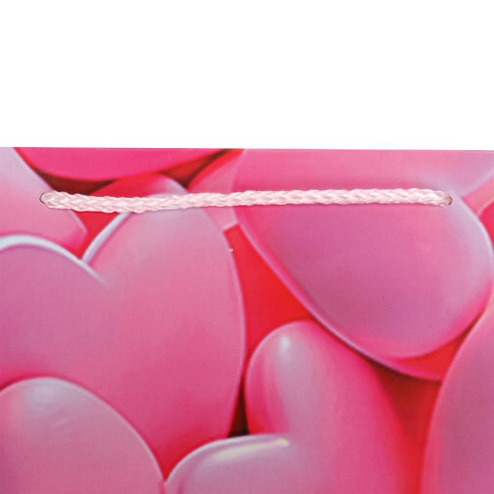 Paquet sous-marin XL, paquet sous-marin xl, couleur argent 5*12 pouces