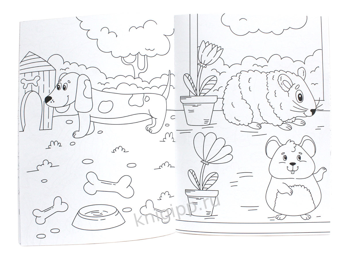 БОЛЬШАЯ СУПЕРРАСКРАСКА. ЖИВОТНЫЕ