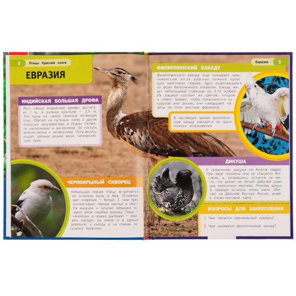 Птицы Красной книги. Н. В. Седова. Энциклопедия с развивающими заданиями. 48 стр. Умка в кор.15шт