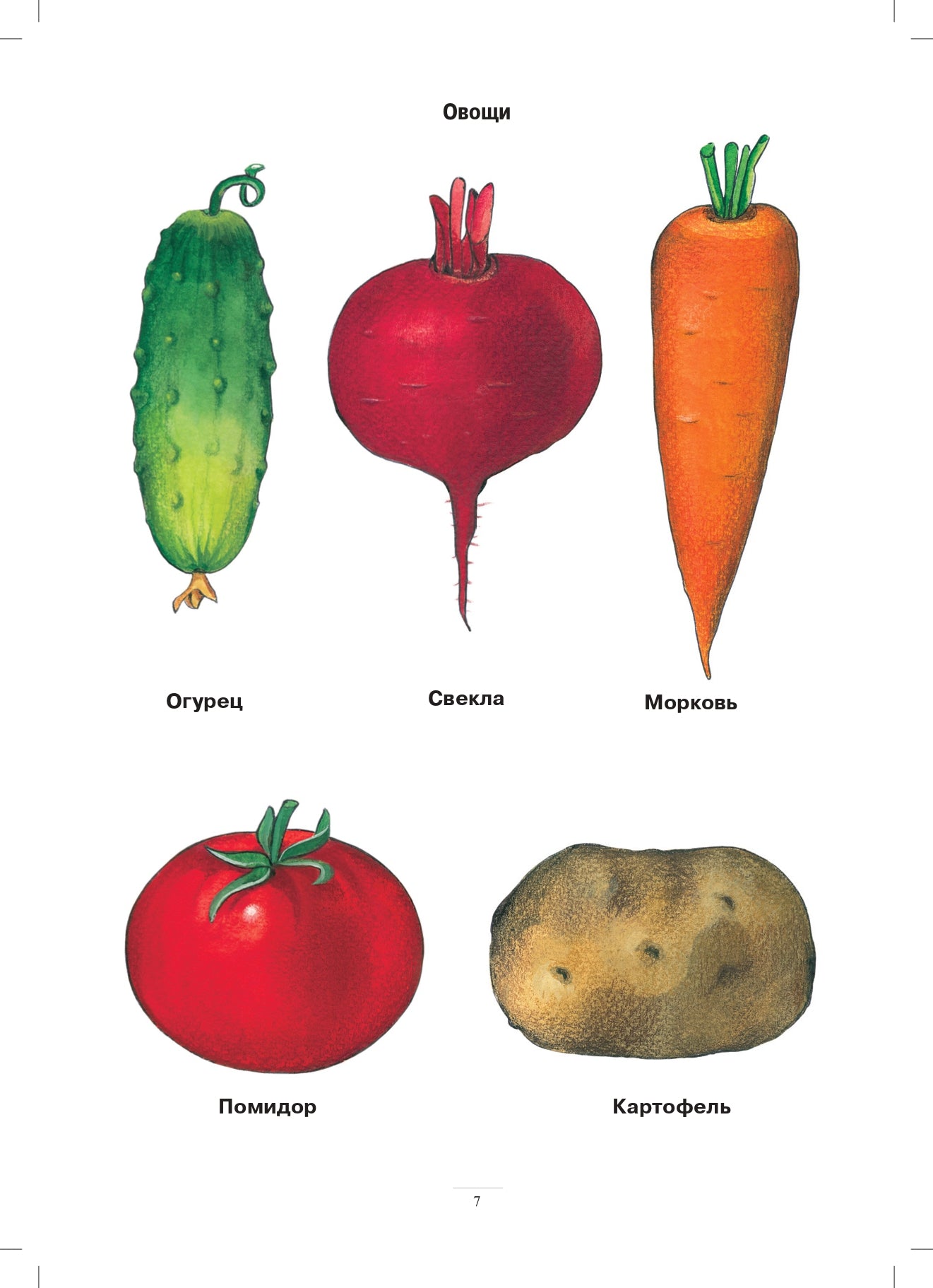 Занимаемся вместе. Le groupe fournit des services de compensation pour les enfants du TNР. Домашняя тетрадь. Часть 1. ФАОП. ФГОС