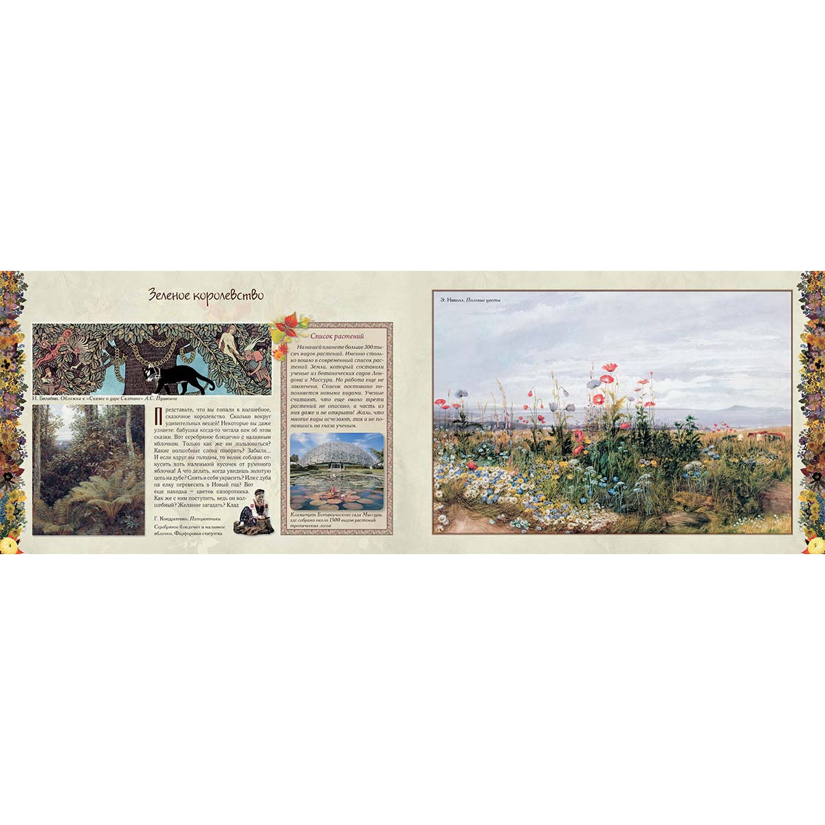 Мой первый гербарий