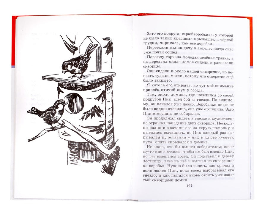 Забавные животные