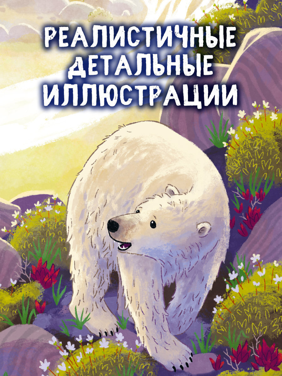 Удивительные животные. Белый медвежонок. Приключения в Арктике/Шармахер-Шрайбер К.