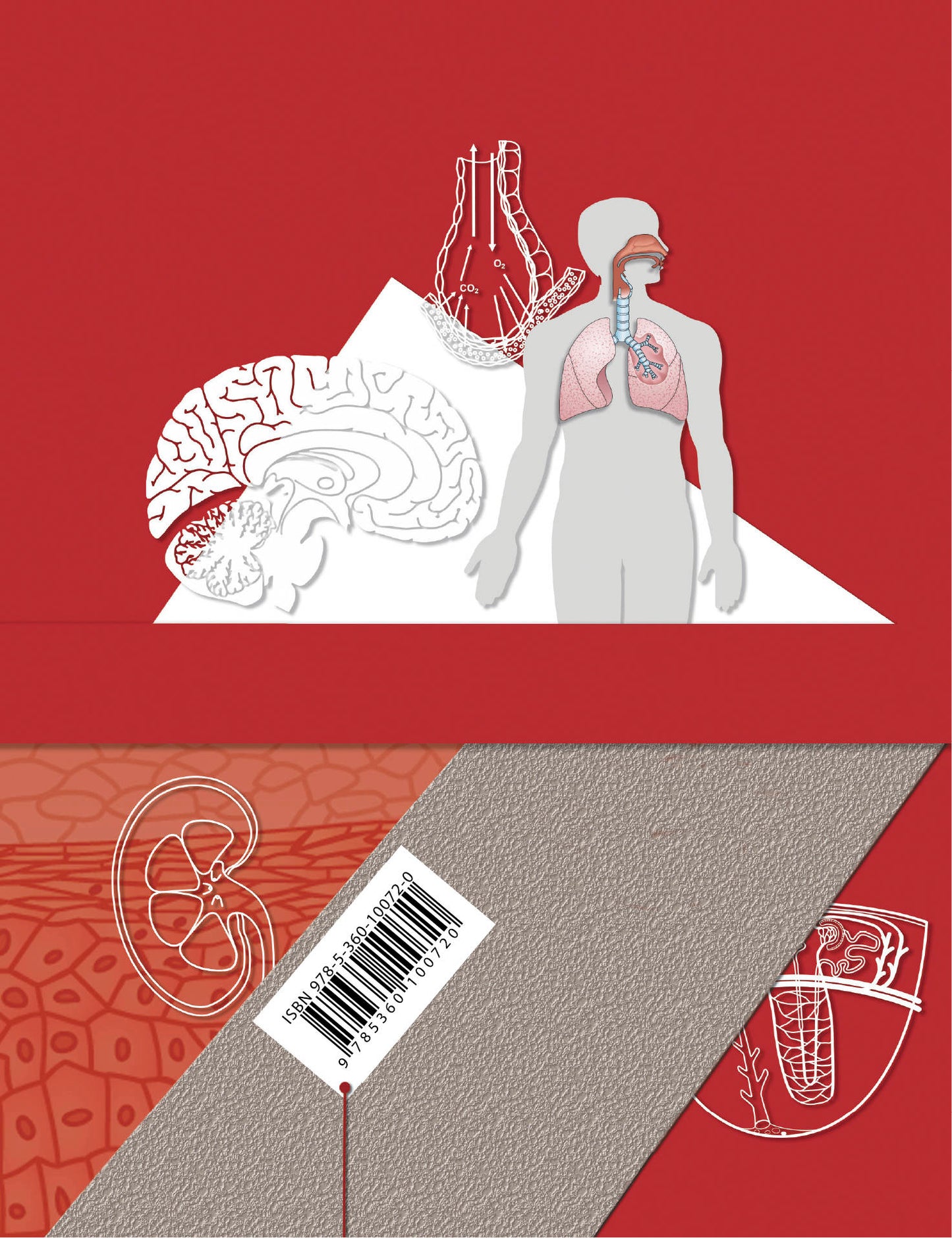 Биология. 9 класс. Учебник.