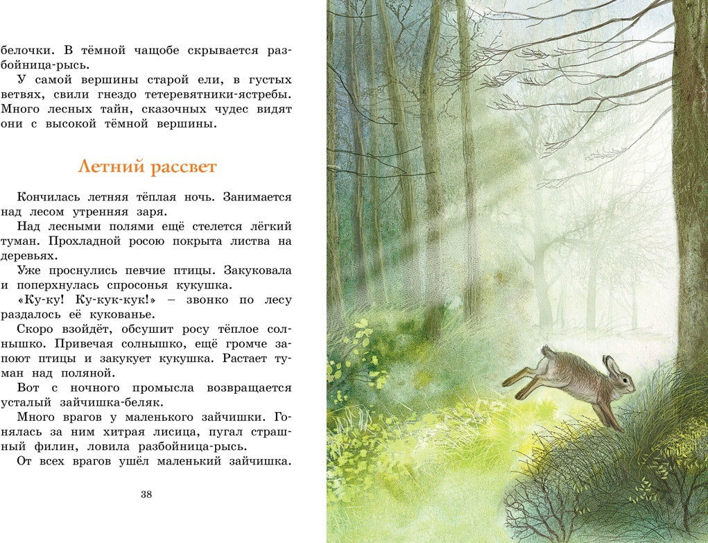 Год в лесу. Рассказы о природе