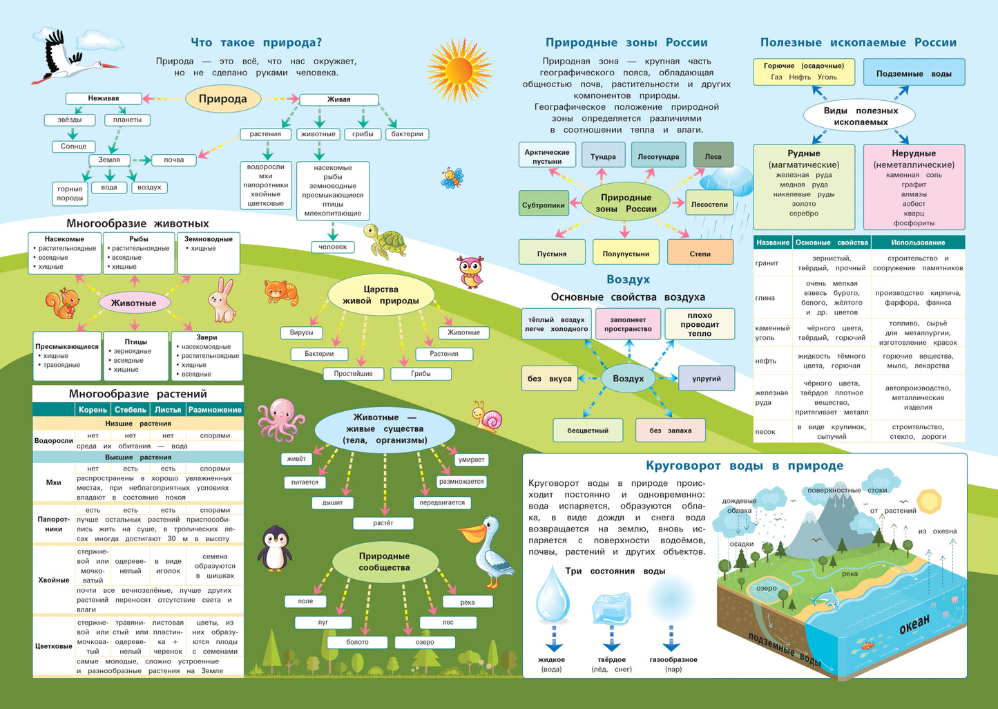 Окружающий мир:1-4 классы:все правила дп