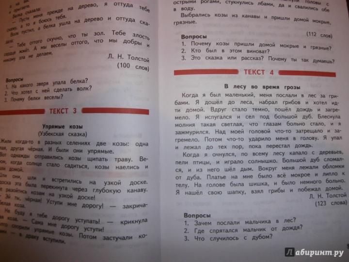 Литерат. чтение 2кл [Промеж. и итог. тест. работы]