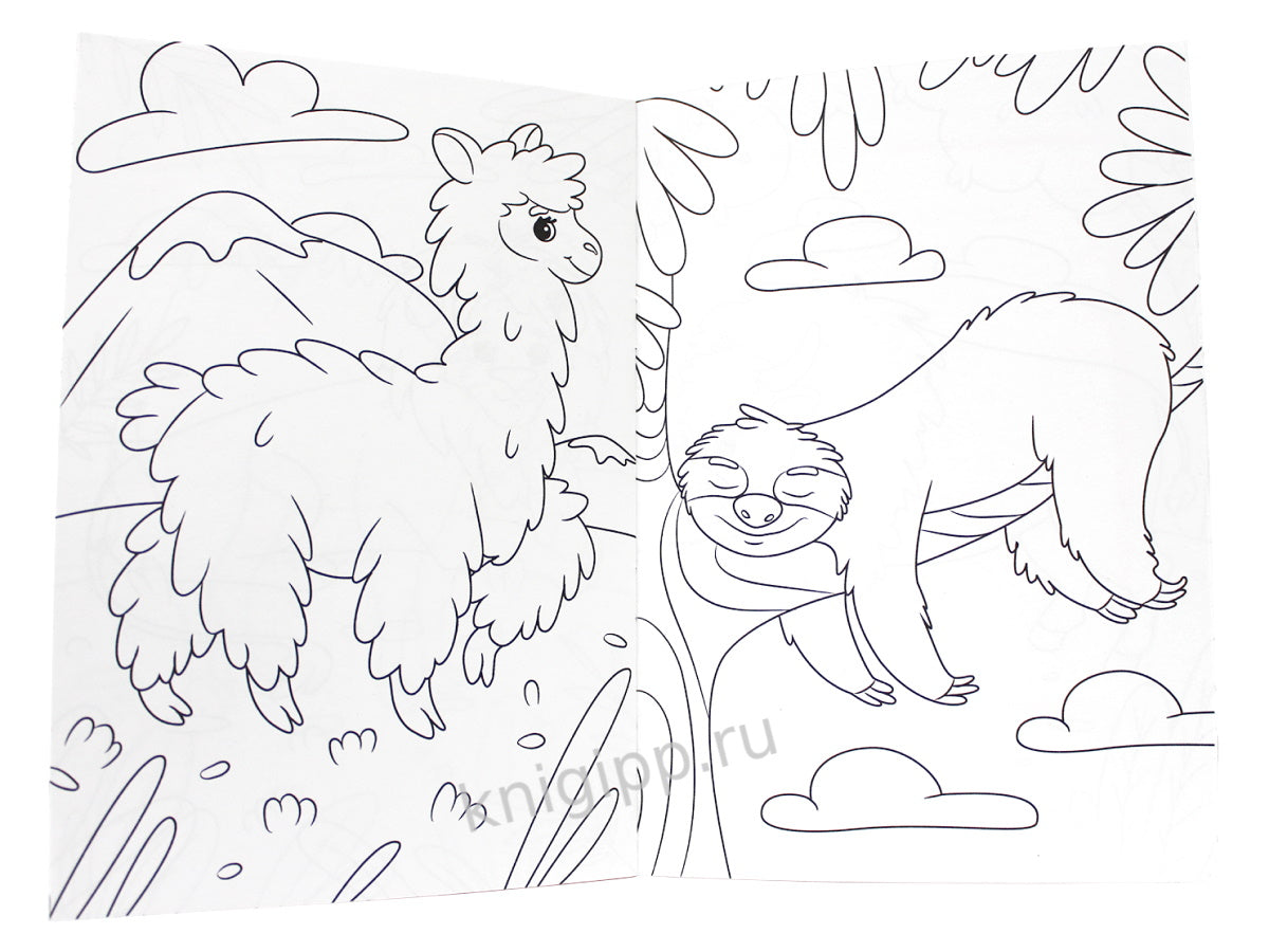 РАСКРАСКА А5 эконом. В ЗООПАРКЕ