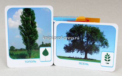 МОИ ПЕРВЫЕ УРОКИ. ПРИРОДА