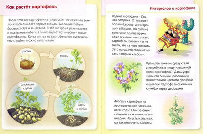 Удивительные превращения. Как живут и развиваются растения