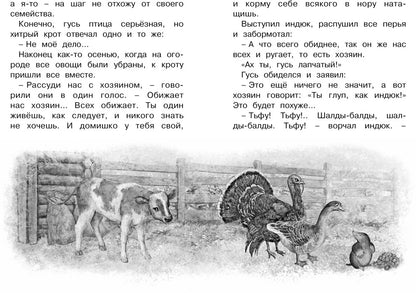 Серая Шейка