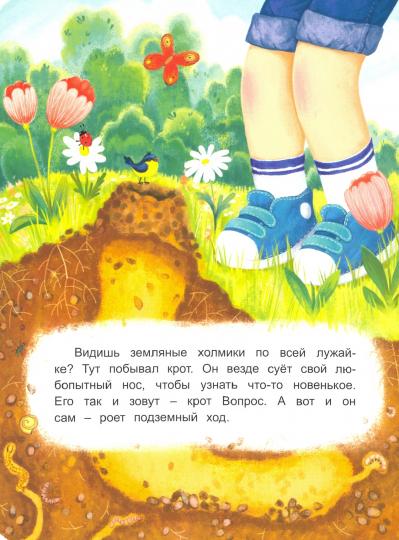 Весова. Крот Вопрос ищет дом