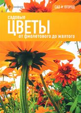 Садовые цветы: от фиолетового до желтого