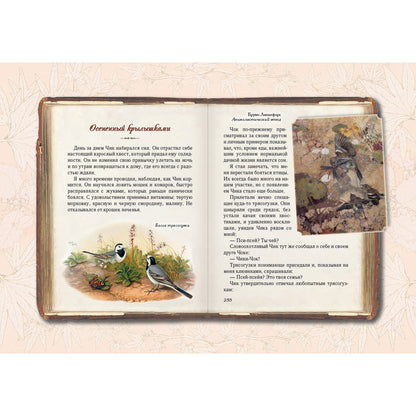 Солнце для кузнечиков. Олеськины рассказы