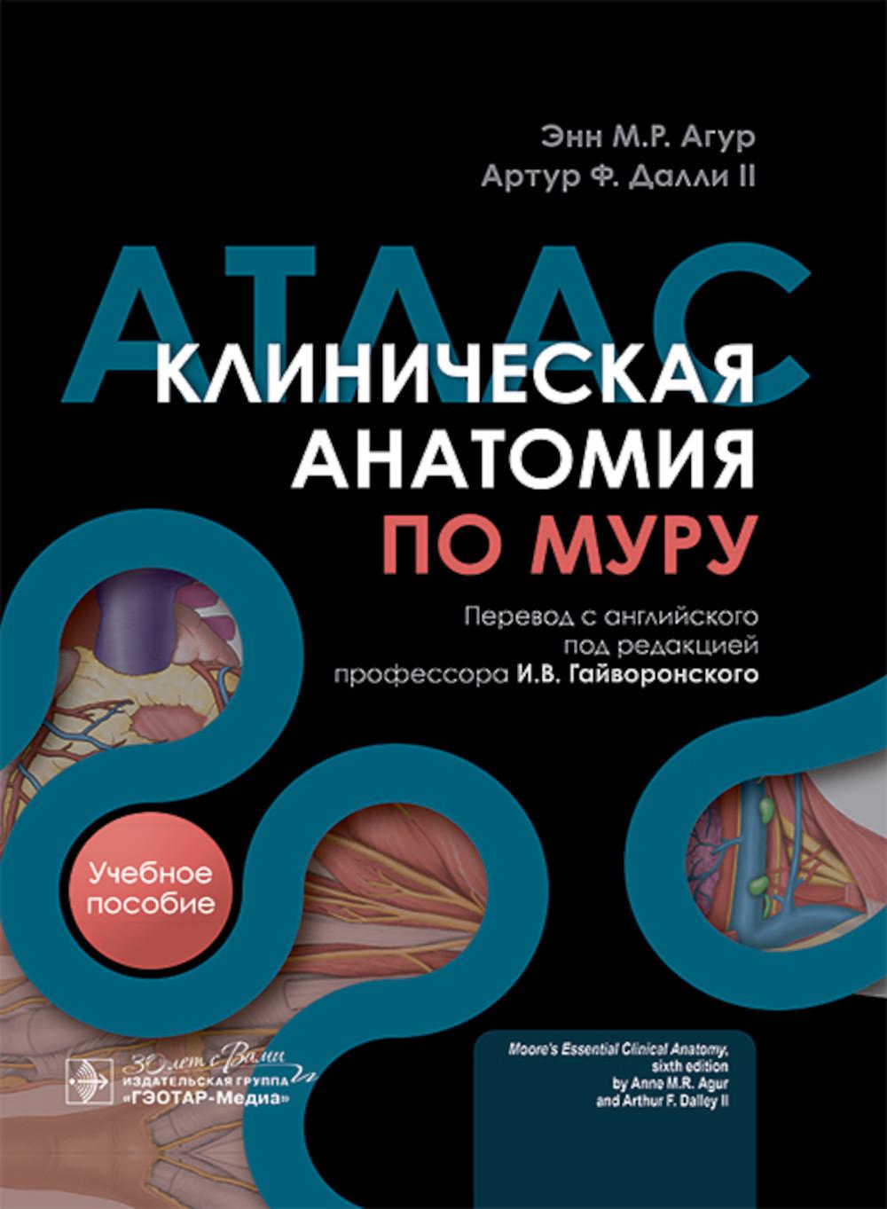 Клиническая анатомия по Муру : учебное пособие, атлас / Э. М. Р. Агур, А. Ф. Далли II ; пер. с англ. под ред. И. В. Гайворонского. — Москва : ГЭОТАР-Медиа, 2025. — 736 с. : ил.