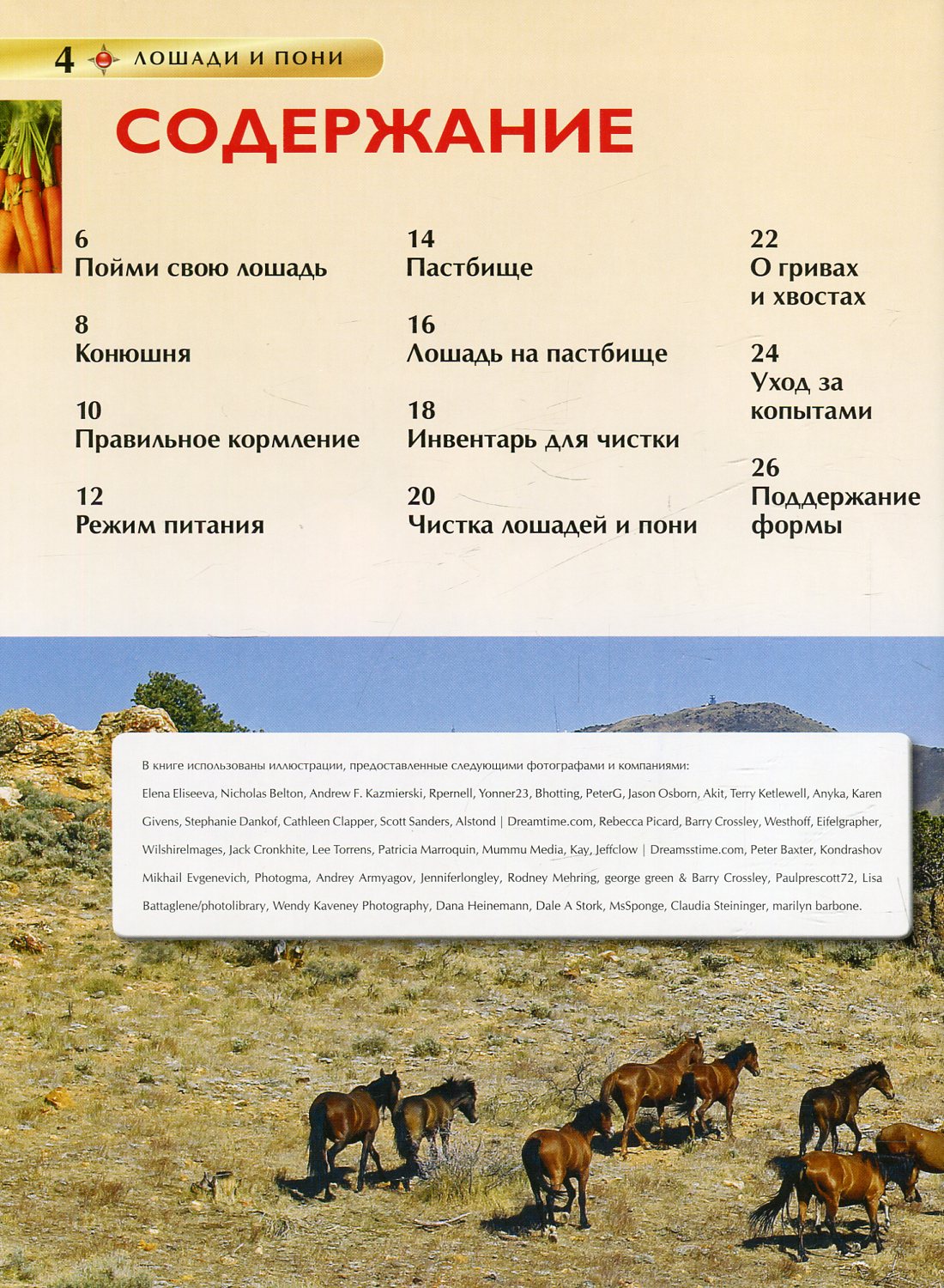 Лошади и пони. Детская энциклопедия