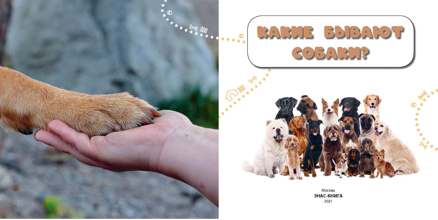 Какие бываю собаки? (ожидается поступление)