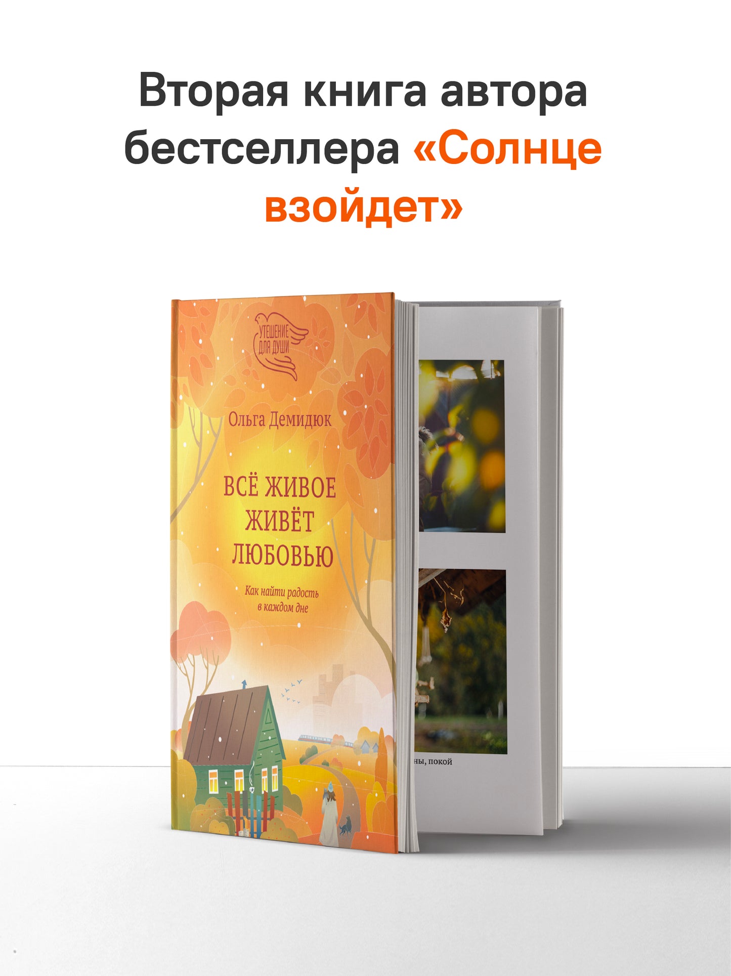 Все живое живет любовью. Как найти радость в каждом дне