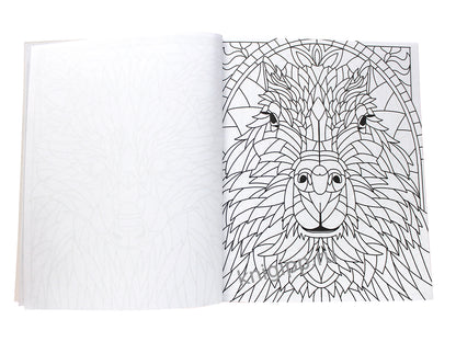 РАСКРАСКА ВИТРАЖИ. ДИКАЯ КРАСОТА