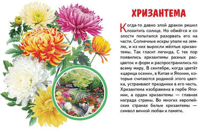 Карточки. Садовые цветы ; Карточки. Садовые цветы