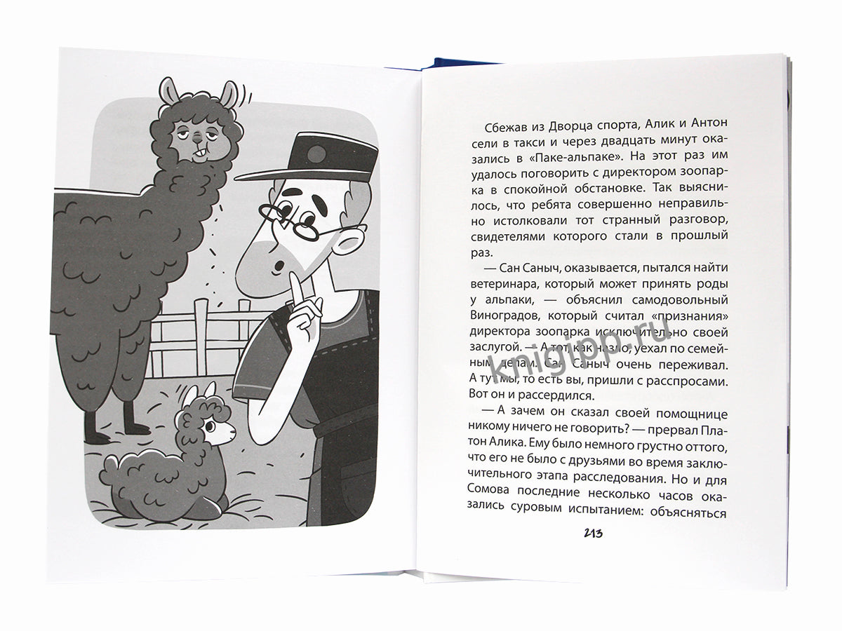 ДЕТСКИЙ ДЕТЕКТИВ С КОМИКСОМ. Светка Королёва и три мушкетёра. Мыс рока