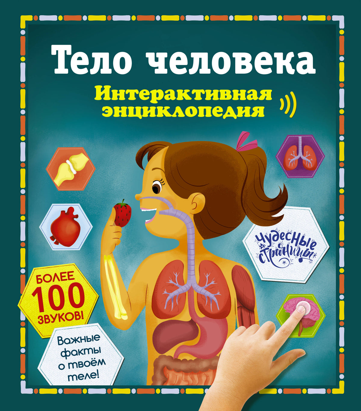 Тело человека. Интерактивная энциклопедия
