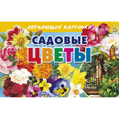 Карточки. Садовые цветы ; Карточки. Садовые цветы