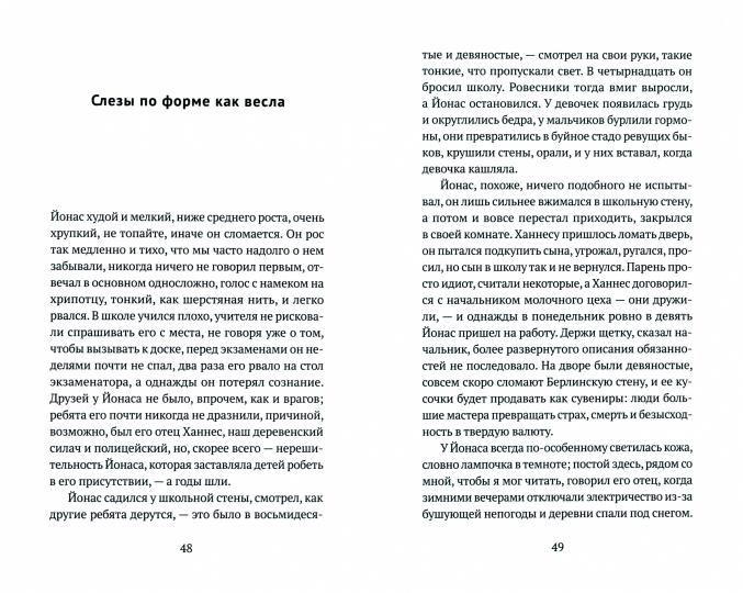 Летний свет, а затем наступает ночь: роман