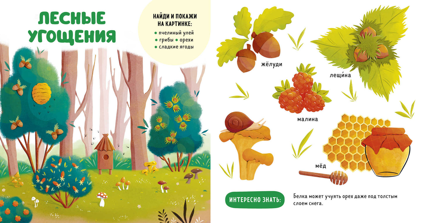 Главная книга малыша. Прогулки по лесу