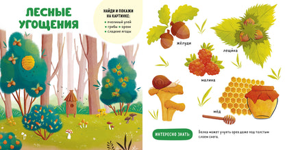Главная книга малыша. Прогулки по лесу