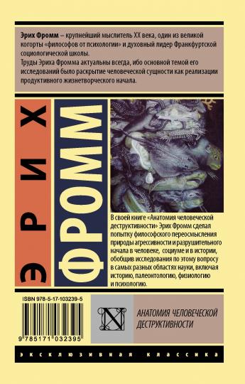 Анатомия средней деструктивности